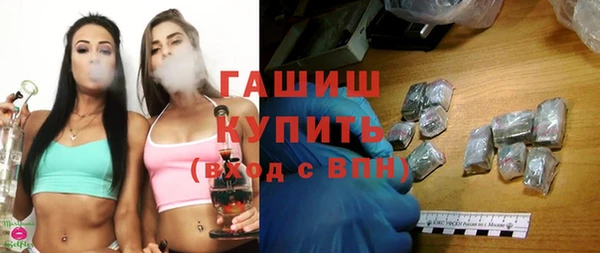 хмурый Алексин