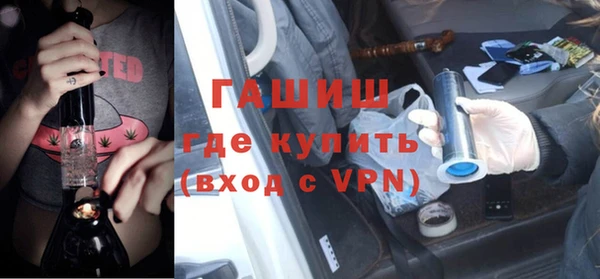 хмурый Алексин