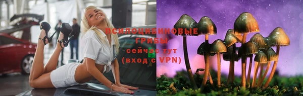 ешки Алексеевка