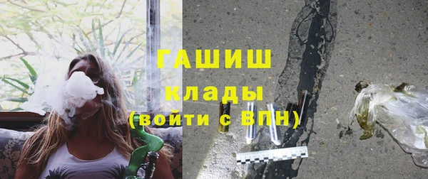 хмурый Алексин