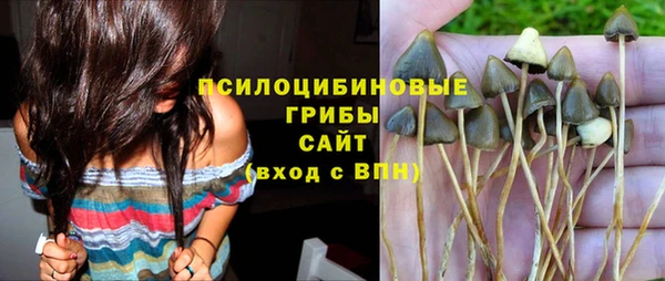хмурый Алексин